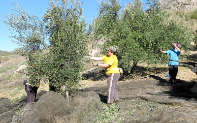 La adquisición de fincas agrarias crece al nivel más alto desde 2008