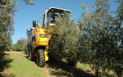 Los «tipos cero» empujan a los inversores al agro